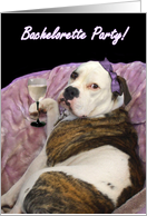 Bachelorette Party Olde English bulldogge card