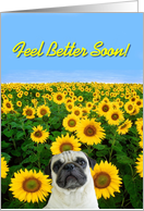 Feel Better soon pug card