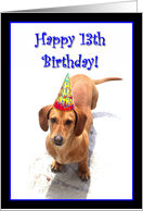 Happy 13th Birthday Dachshund card