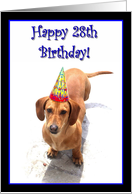 Happy 28th Birthday Dachshund card