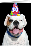 50th Birthday Party Invitation white boxer dog card