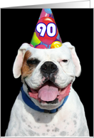 90th Birthday Party Invitation white boxer dog card