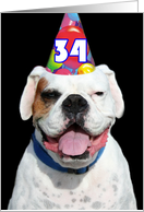 Happy 34th Birthday Boxer Dog card