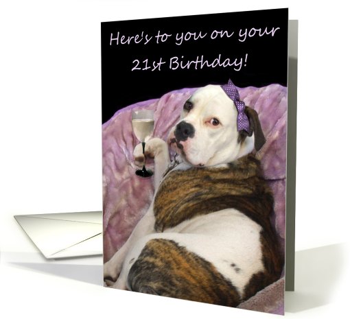 Happy 21st Birthday Old English Bulldogge card (488930)