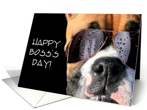 Happy Boss's Day Boxer card (492358)