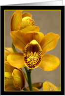 Yellow Orchid card