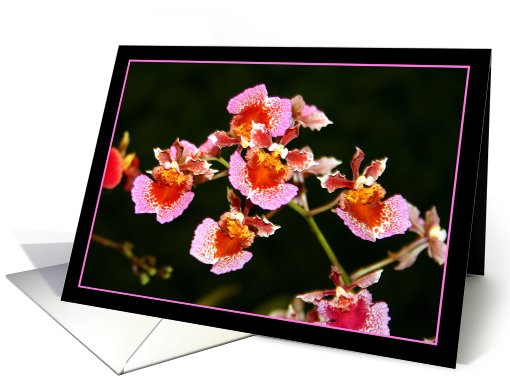 Pink Orchids card (511036)