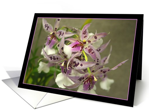 Orchids card (511059)