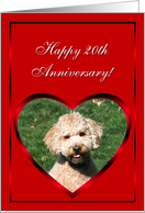 Happy 20th Anniversary Mini Goldendoodle card