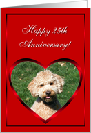 Happy 25th Anniversary Mini Goldendoodle card
