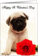 Happy St. Valentine’s day Pug card