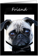 Friend Thank You for being my Best Man Pug card