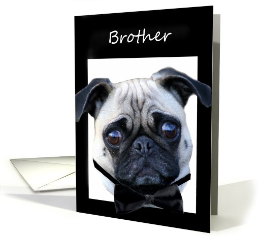 Brother Thank You for being my Best Man Pug card (561509)