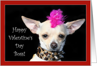 Happy Valentine’s Day Boss Punk Chihuahua dog card
