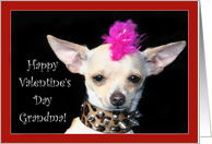Happy Valentine’s Day Grandma Punk Chihuahua dog card