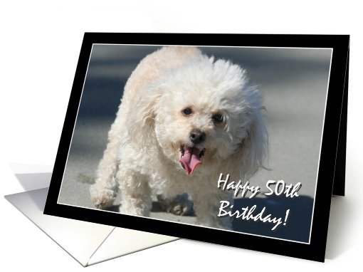 Happy 50th Birthday Bichon Frise dog card (825632)