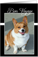 Bon Voyage Welsh Corgi dog card