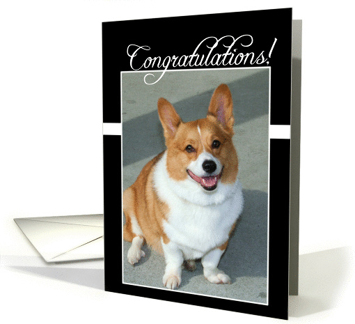 Congratulations Welsh Corgi dog card (834184)
