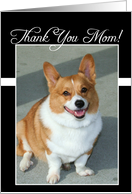 Thank You Mom Welsh Corgi dog card