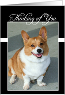 Thinking of You Mom Welsh Corgi dog card