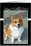 Happy Birthday Boss Welsh Corgi dog card