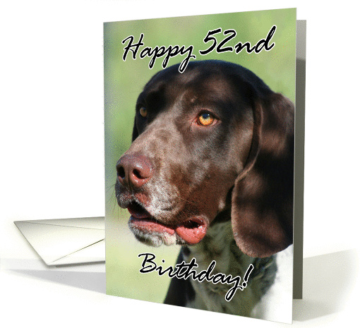 Happy 52nd Birthday German Shorthaired pointer dog card (856125)