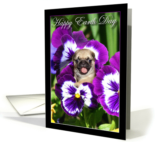 Happy Earth Day Pug puppy in Pansies card (862500)