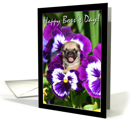 Happy Boss's Day Pug puppy in Pansies card (862501)