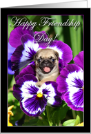 Happy Friendship Day Pug puppy in Pansies card