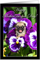 Happy Mother-in-law Day Day Pug puppy in Pansies card