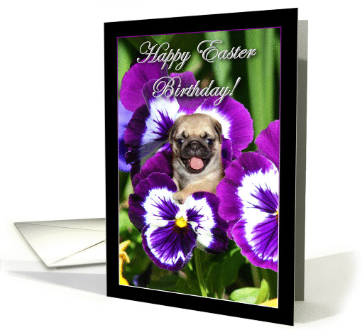 Happy Easter Birthday Pug puppy in Pansies card (864191)