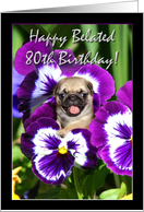 Happy Belated 80th birthday pug puppy card