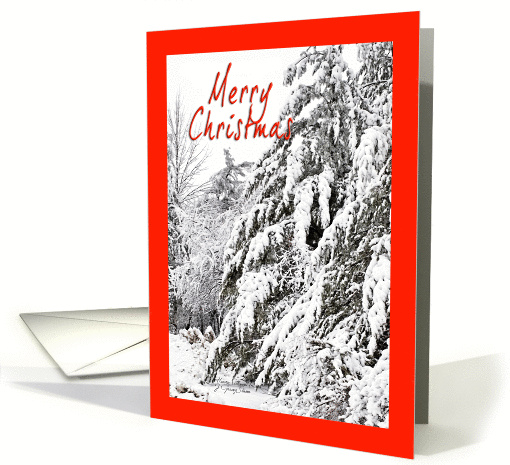 Happy Holidays - White Christmas card (522789)