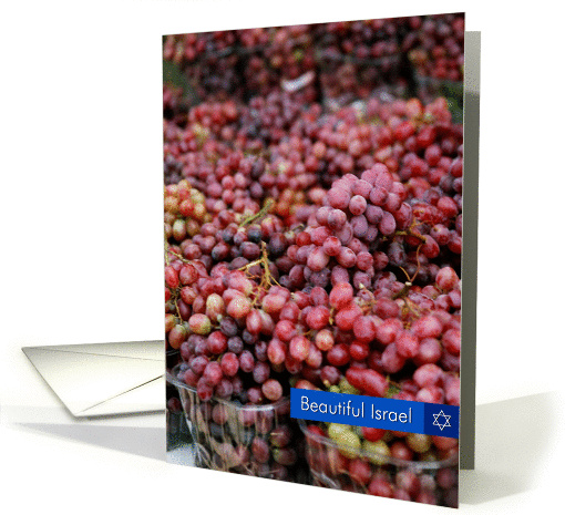 Beautiful Israel-grapes card (322217)