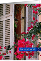 Beautiful Israel-Blossom card