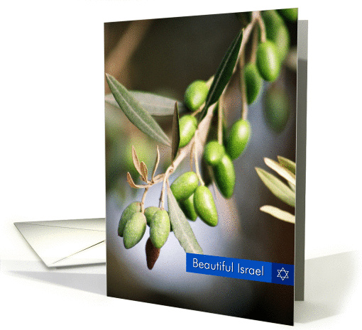 Beautiful Israel-Olive card (323242)
