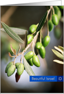 Beautiful Israel-Olive card