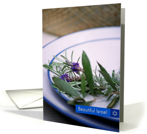 Beautiful Israel-Herb Bouquet card (323318)