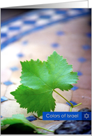 Beautiful Israel-Vine Leaf card