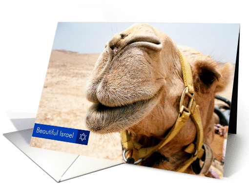 Beautiful Israel-Smiling Camel card (324587)