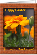 Happy Easter - brother-in-law card