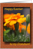 Happy Easter - grandson card