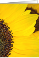 Sunflowers card