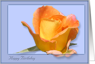 Happy Birthday Rose card