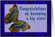Congrats New Big Sister Cloisonne Butterfly card