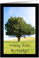 Happy 80th Birthday Tree card