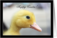 Happy Easter Yellow Duckling card