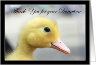 Thank You for your donation Yellow Duckling card