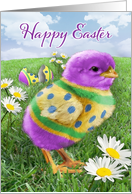 Painted Easter Chick card