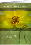 BIRTHDAY, SECRET PAL, YELLOW DAISY,GREEN TEXTURE-LIKE, TIE card